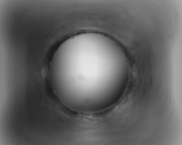 X0000092081495200709262054