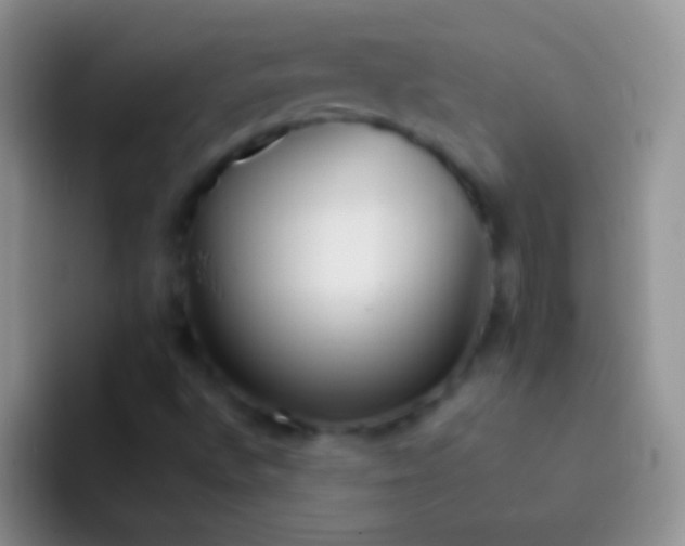 X0000092081496200709262054