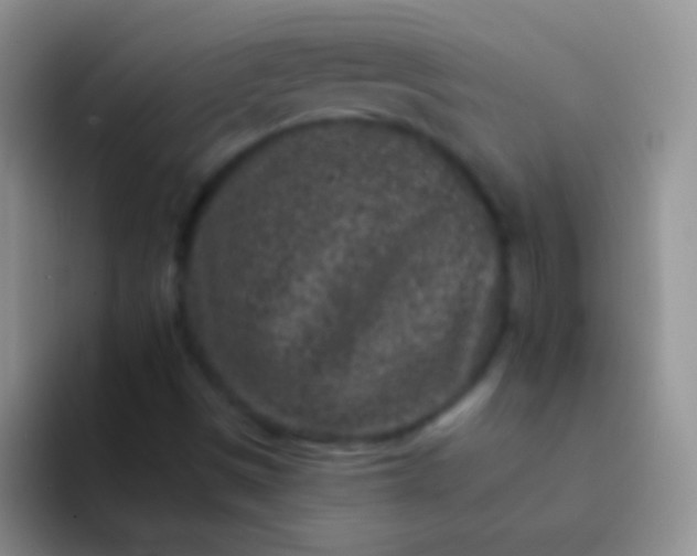 X0000092081497200709262054