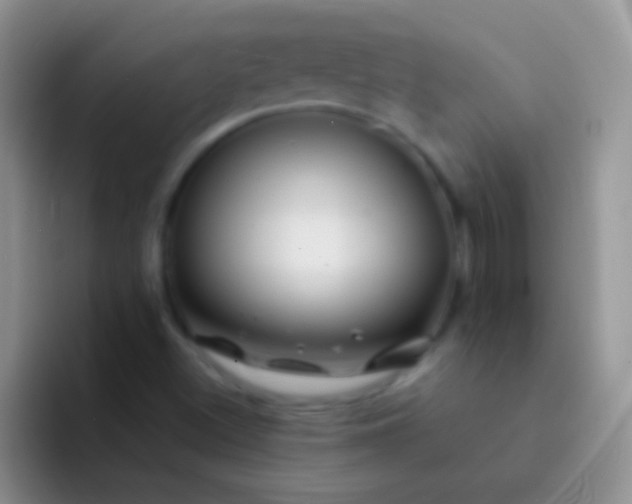 X0000092081500200709262054