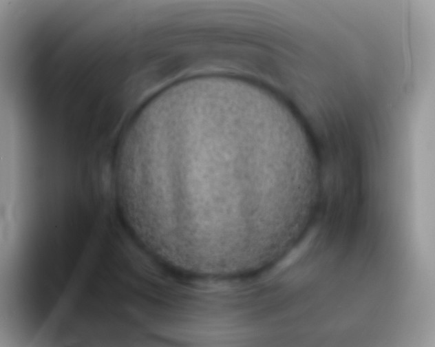 X0000092081505200709262055