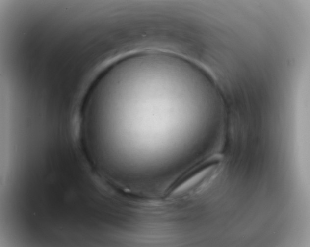 X0000092081507200709262055