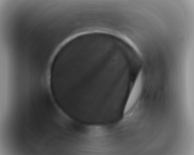 X0000092081508200709262055