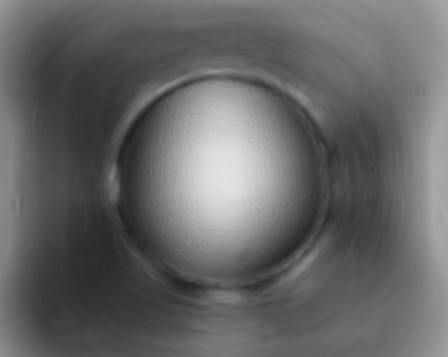 X0000092081509200709262055