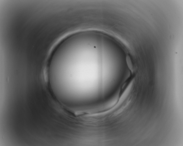 X0000092081510200709262055