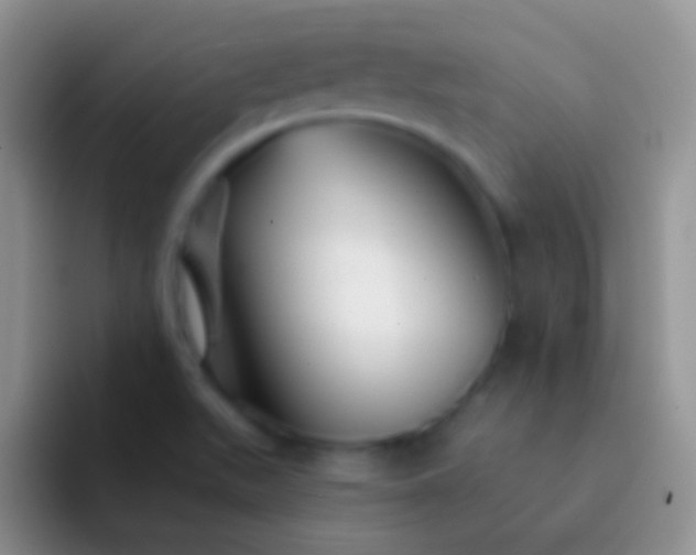 X0000092081511200709262055