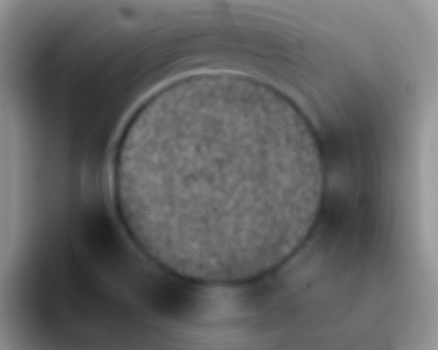 X0000092081514200709262055