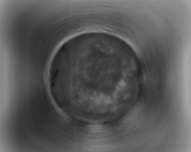 X0000092081515200709262055