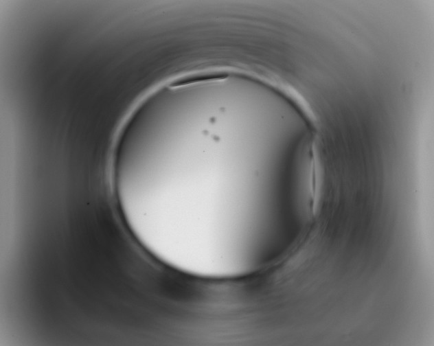 X0000092081516200709262055