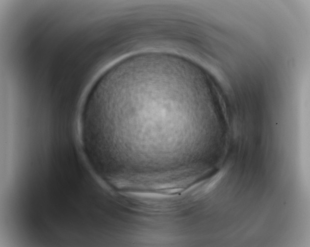 X0000092081517200709262055
