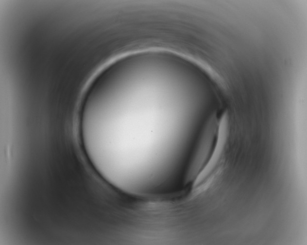 X0000092081518200709262055