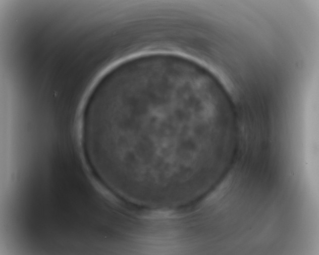 X0000092081519200709262055