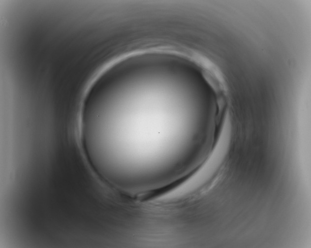 X0000092081520200709262055
