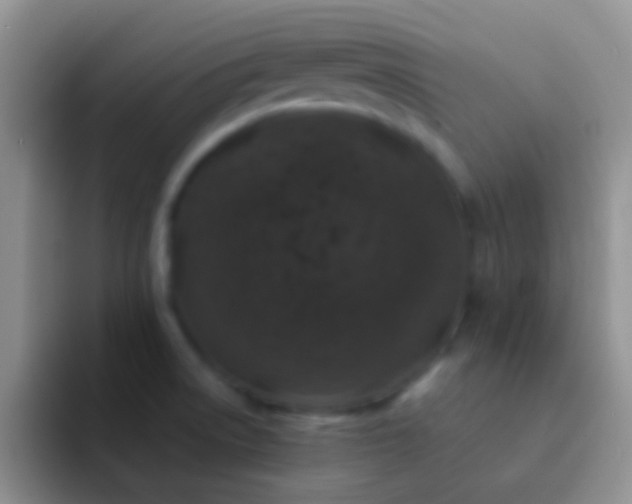 X0000092081522200709262055