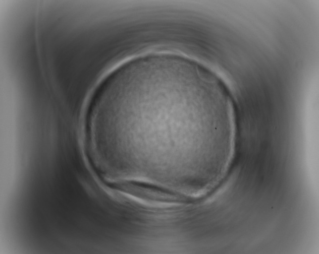 X0000092081525200709262055