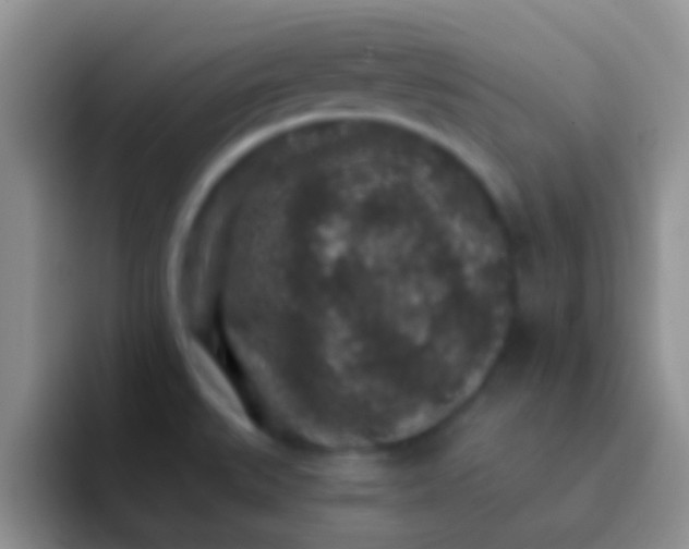 X0000092081527200709262055