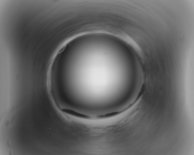 X0000092081528200709262055