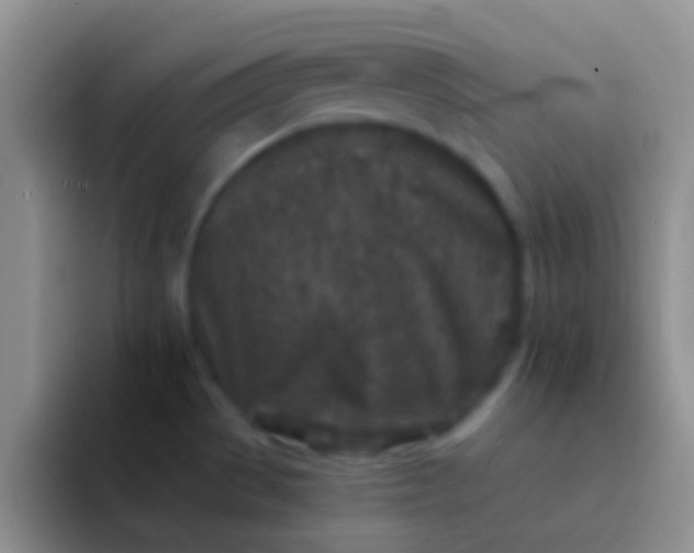 X0000092081529200709262055