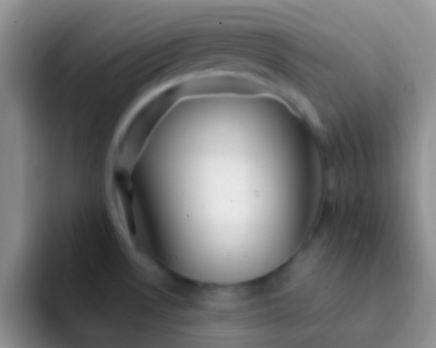 X0000092081530200709262055