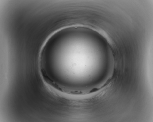 X0000092081532200709262055
