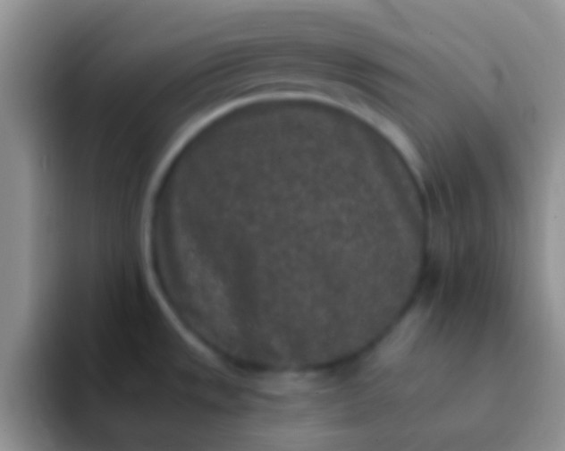 X0000092081533200709262055