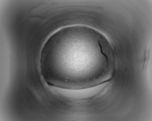 X0000092081534200709262055
