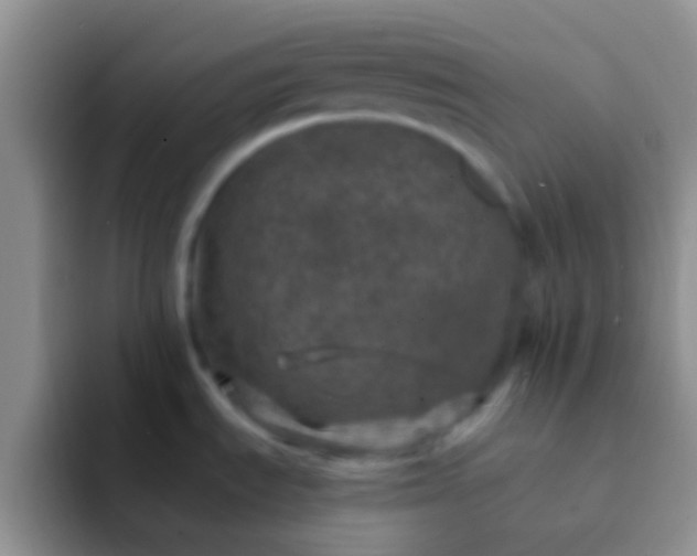 X0000092081535200709262055