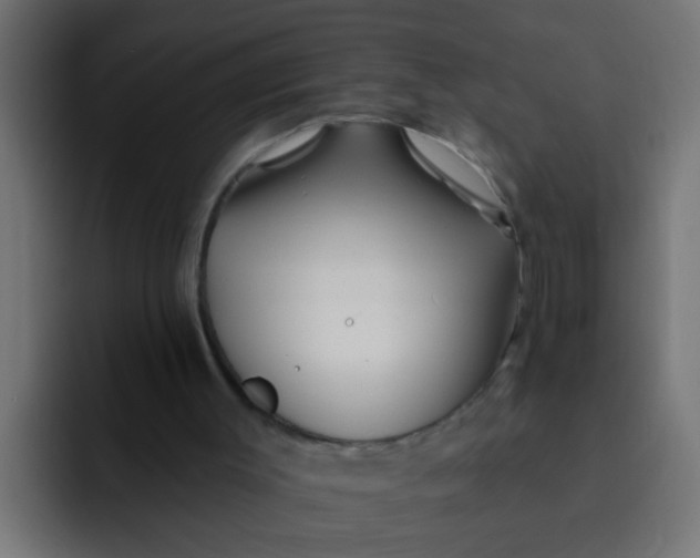 X0000092080003200710031145