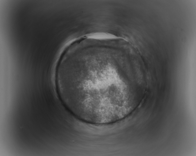 X0000092080006200710031144