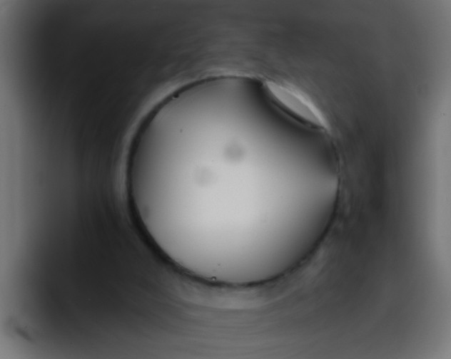 X0000092080008200710031144