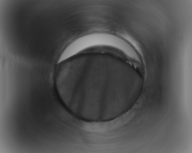 X0000092080009200710031144