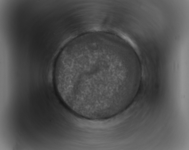 X0000092080010200710031144