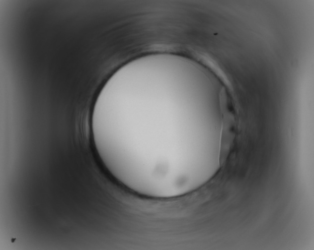 X0000092080011200710031144