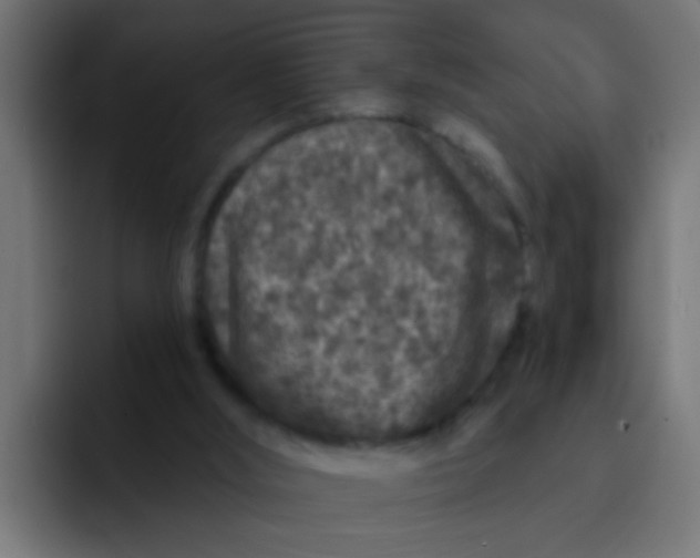 X0000092080012200710031144