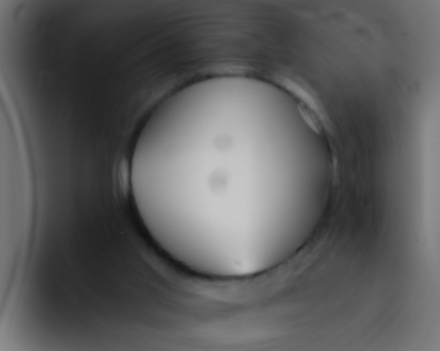 X0000092080013200710031144