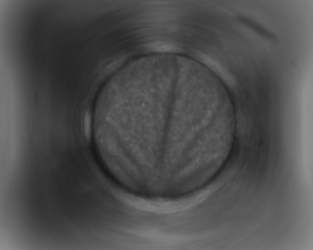 X0000092080014200710031144