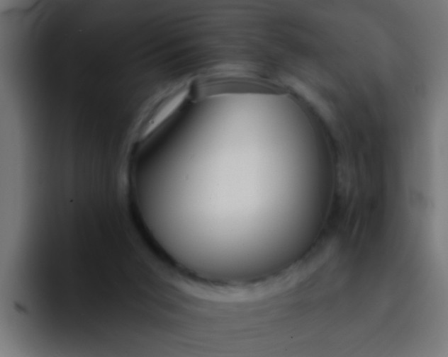 X0000092080015200710031144