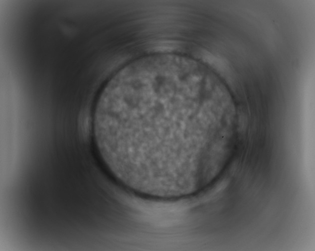 X0000092080016200710031144