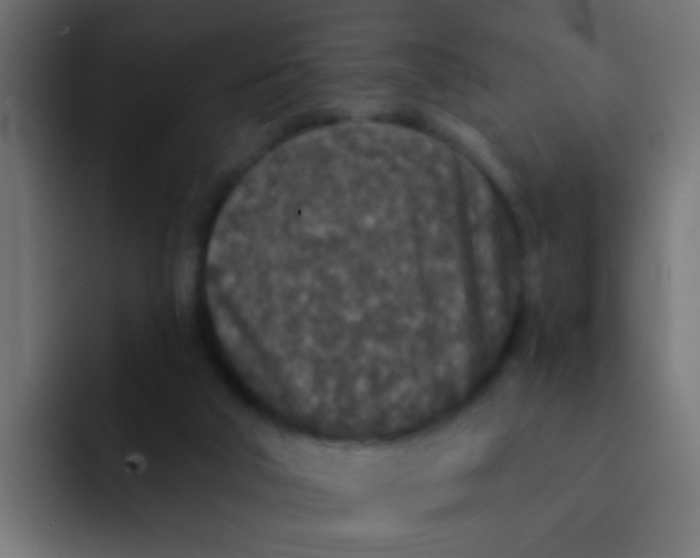 X0000092080018200710031144