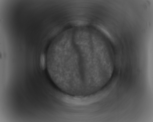 X0000092080022200710031144