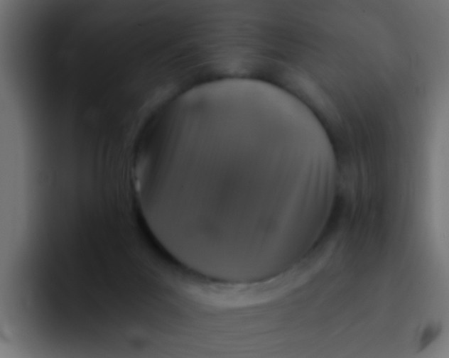 X0000092080023200710031144