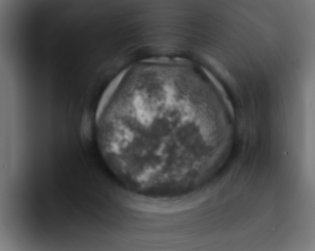 X0000092080026200710031144