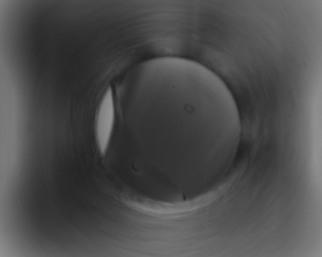 X0000092080027200710031144