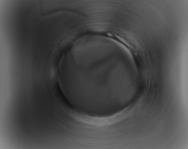 X0000092080031200710031144