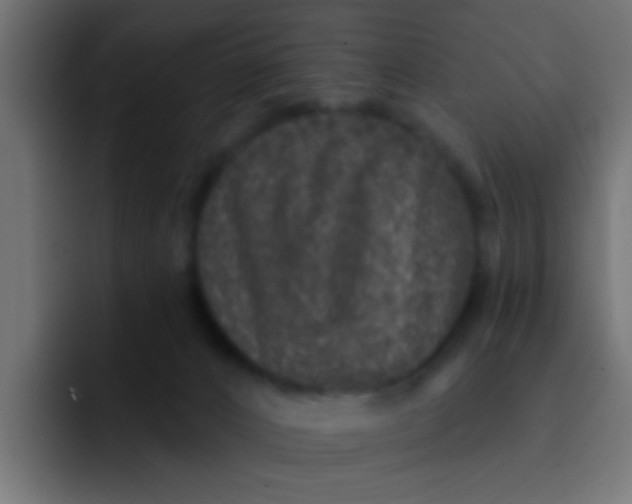 X0000092080032200710031144