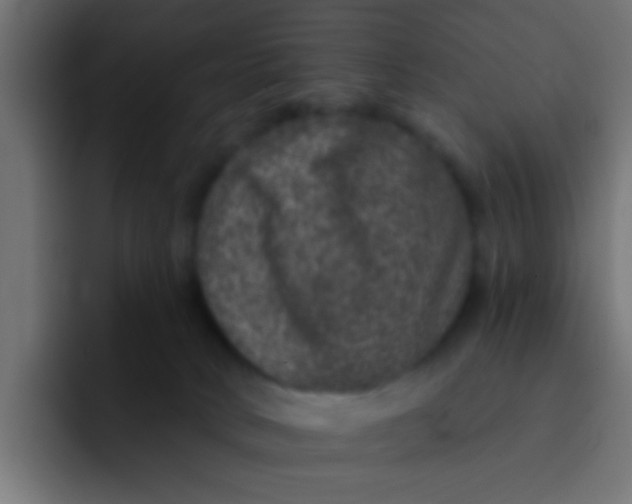 X0000092080034200710031144