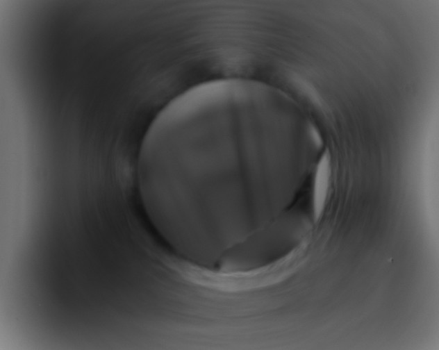 X0000092080039200710031144