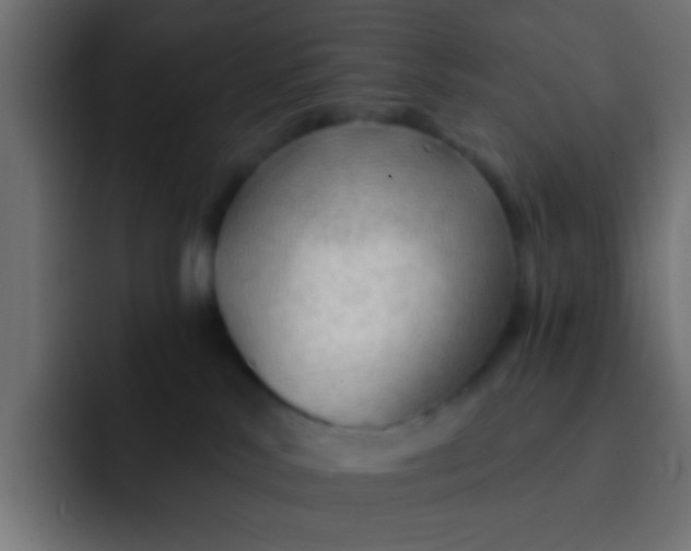 X0000092080042200710031144