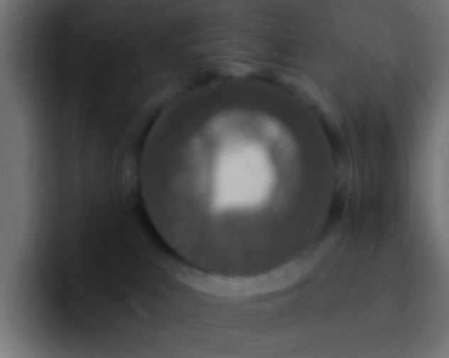 X0000092080043200710031144