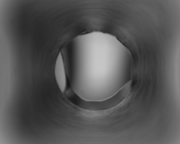 X0000092080045200710031144